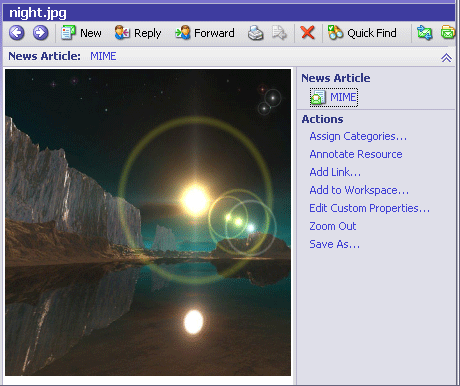 Image in the Item Viewer